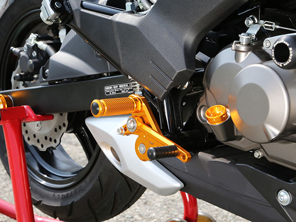 Z125 Pro (