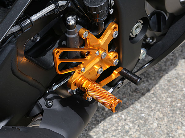ZX10R (