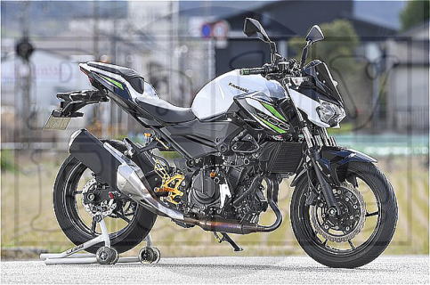 vægt helt bestemt Brug for KAWASAKI Z250/400 '19 Parts